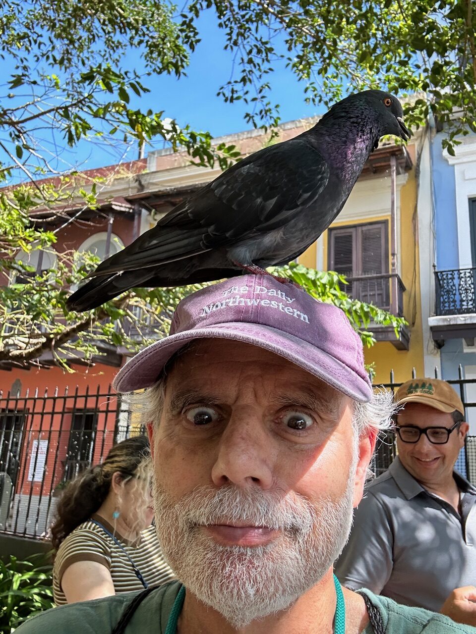 Bird brain: It's hard to be sad with a pigeon on your head.